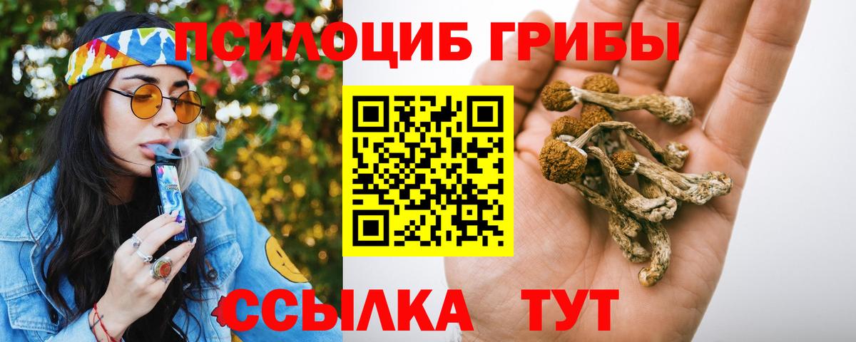 Галлюциногенные грибы Cubensis  Вход с VPN  Соликамск 